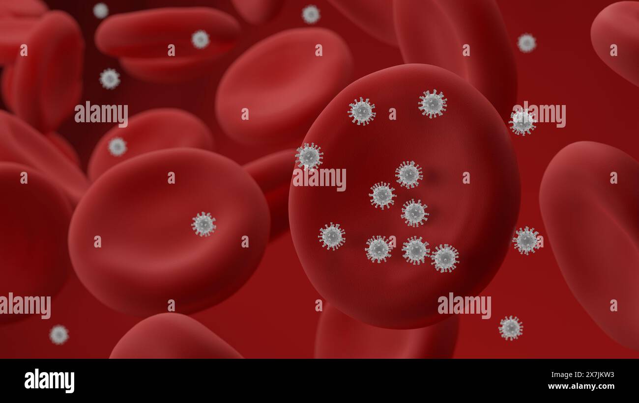 Blutzellvirus. Erythrozyten. 3D-Abbildung. Stockfoto