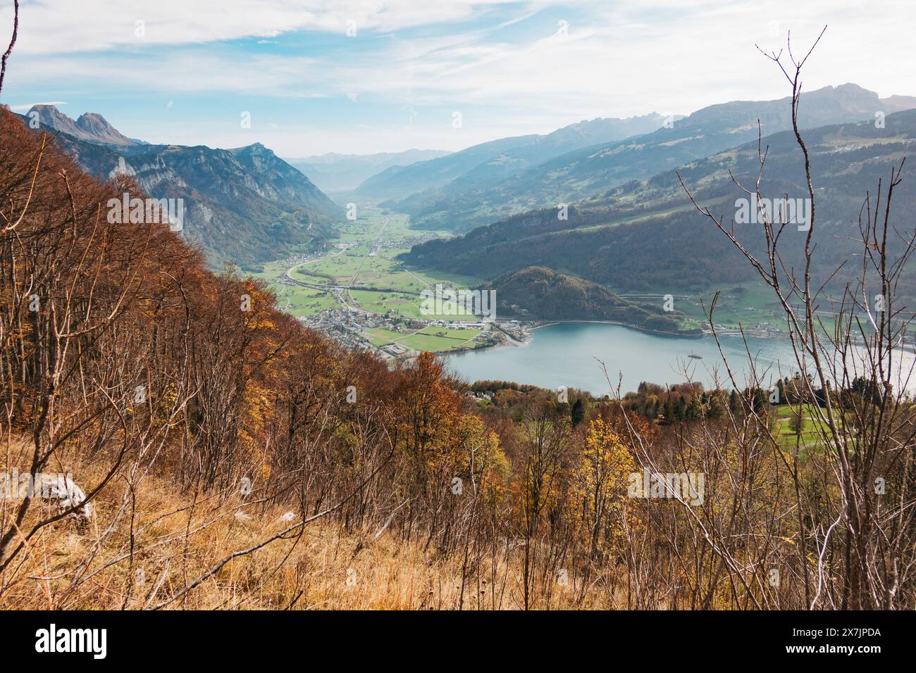 Karge Bäume und Herbstlaub in den Ausläufern über dem Walensee und der Gemeinde Walenstadt in der Schweiz Stockfoto