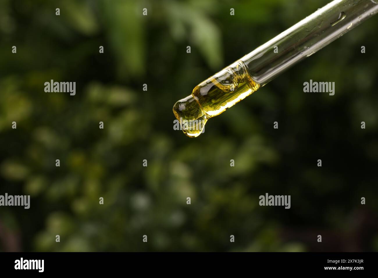 Tropfen von ätherischem Öl aus der Pipette im Freien, Nahaufnahme Stockfoto