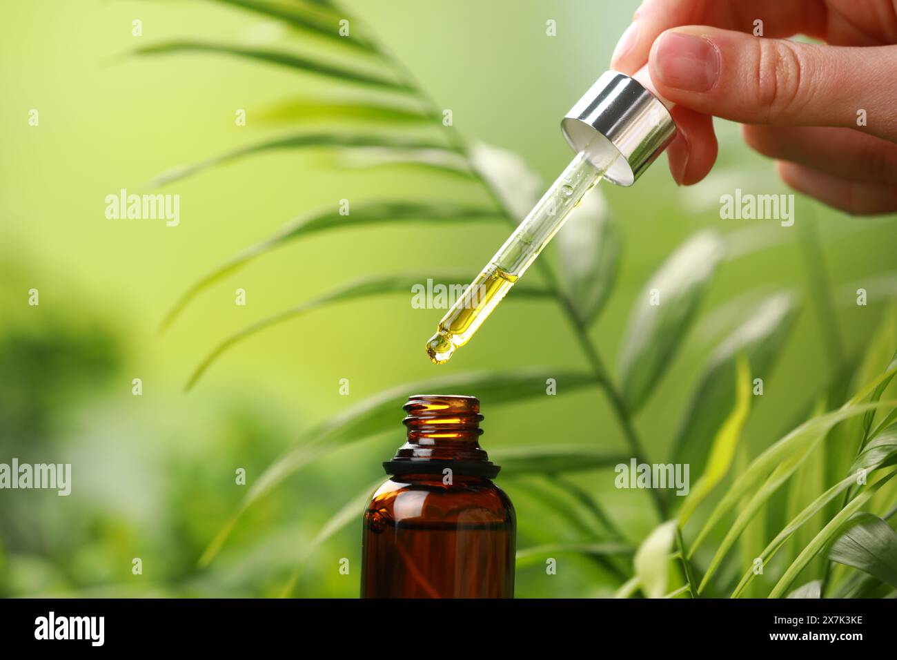 Frau tropft im Freien ätherisches Öl aus der Pipette, Nahaufnahme Stockfoto