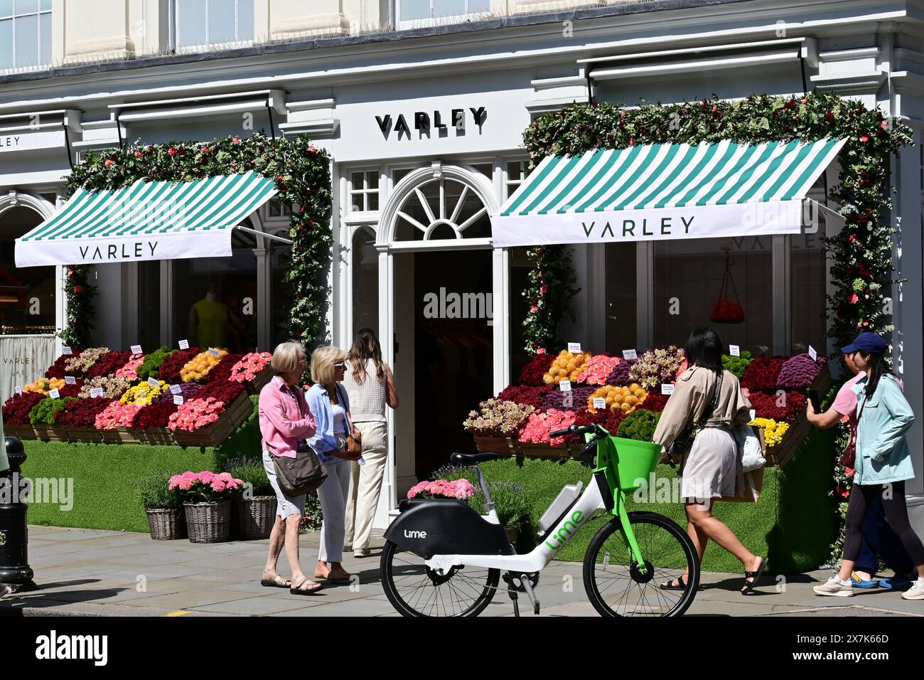 Blumenvorführungen in Chelsea in Bloom, Blumenfeste 2024, Chelsea Stockfoto