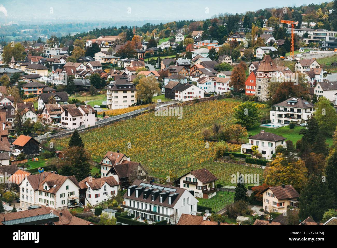 Ein Panoramablick auf das Rote Haus und die Umgebung in Liechtenstein, mit einer Mischung aus traditioneller europäischer Architektur, Weinbergen und üppigem Grün. Stockfoto