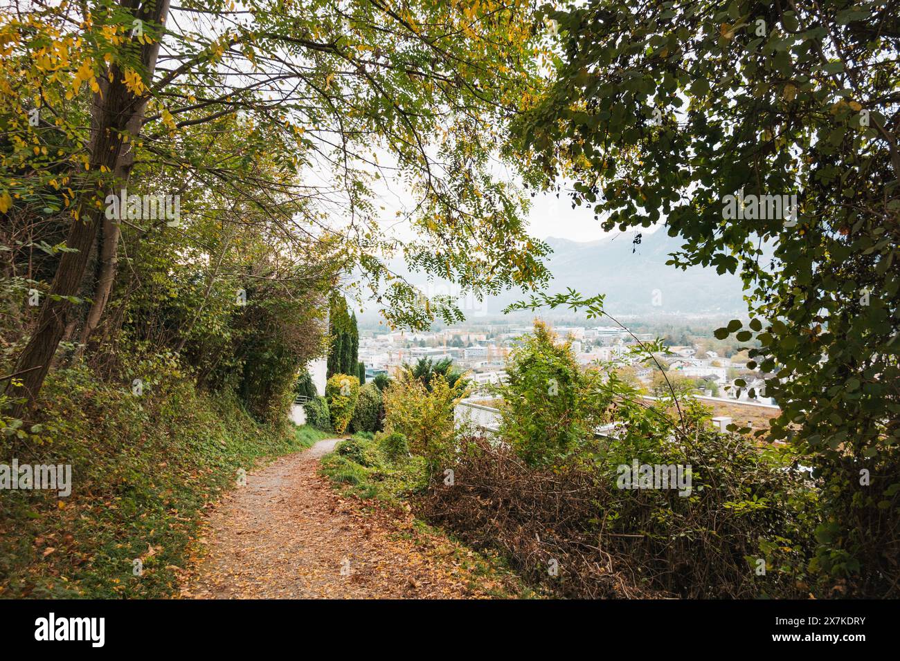 Ein Pfad schlängelt sich durch einen üppigen Wald und bietet einen Blick auf die Stadt Vaduz, Liechtenstein in der Ferne Stockfoto