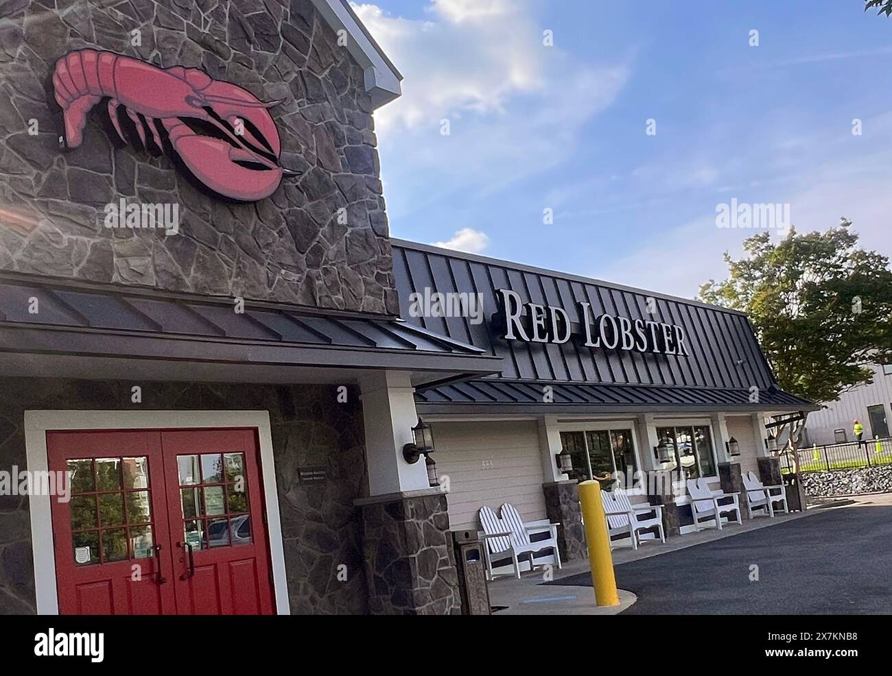 Alexandria, VA, USA. Mai 2024. Red Lobster meldet freiwilligen Insolvenz nach Kapitel 11 an, da dieser Standort in Alexandria, Virginia, während des Insolvenzverfahrens am 20. Mai 2024 weiterhin tätig ist. Quelle: Mpi34/Media Punch/Alamy Live News Stockfoto