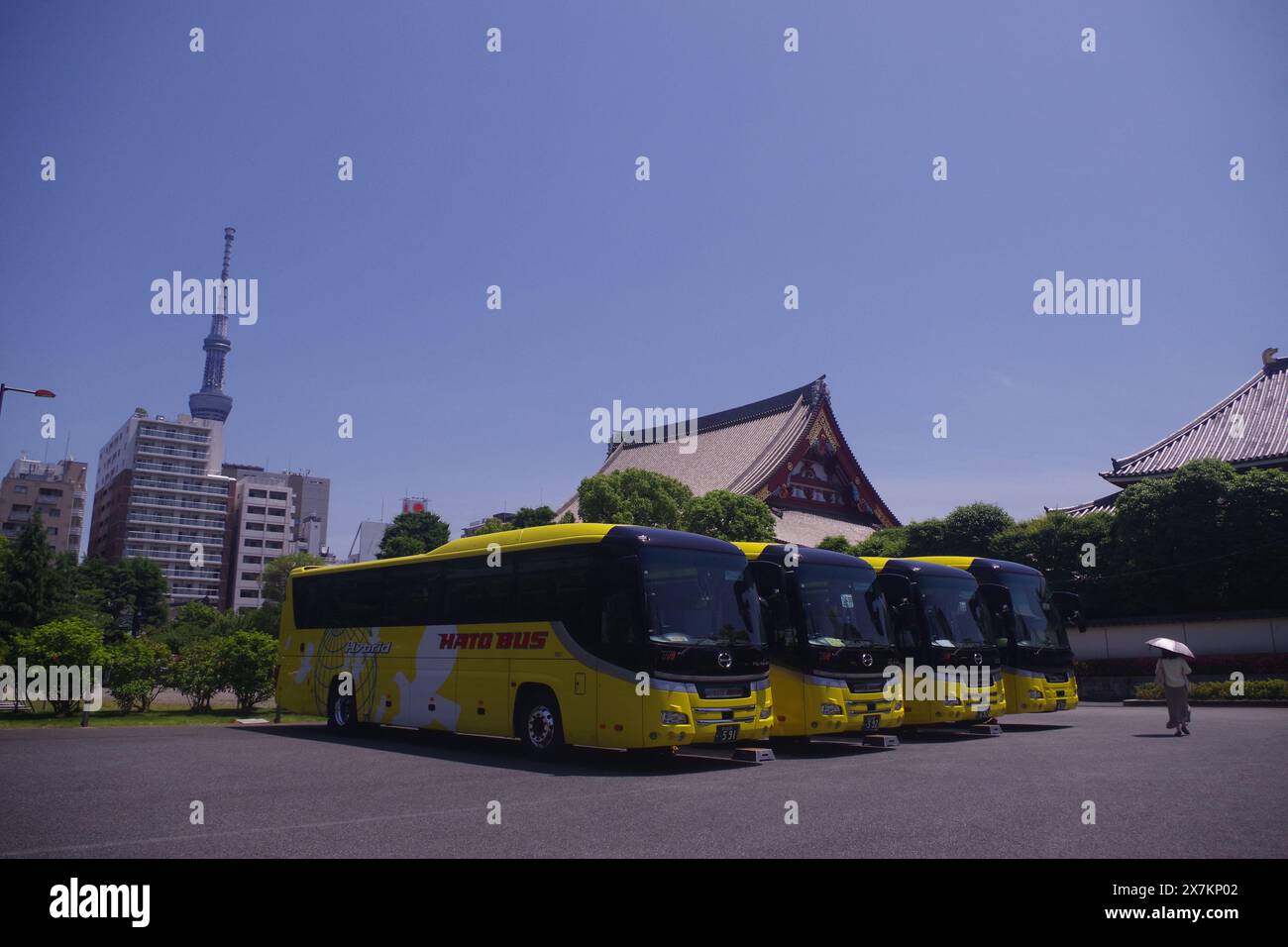 Hato-Busse parkten in Asakusa, Tokio, Japan Stockfoto