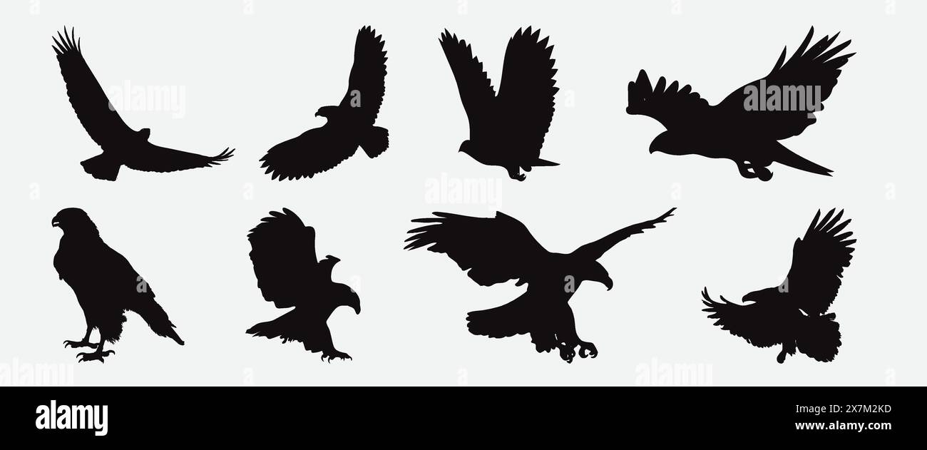 Majestätische Adler Silhouette Vektor-Set detaillierte Sammlung von hoch- und hochstehenden Adlersilhouetten Stock Vektor