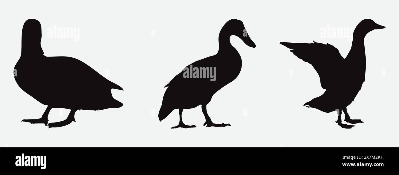 Enten Silhouette Vektor Sammlung von verschiedenen Entenpositionen für Kunst Design und Dekoration Stock Vektor