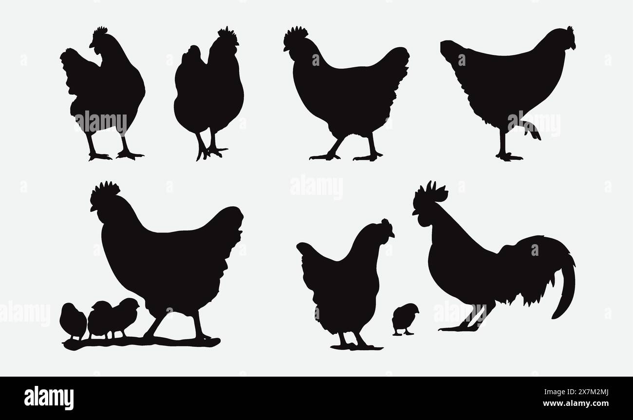 Umfassende Hens Silhouette Vector Collection für Bauernhof- und rustikale Design-Projekte Stock Vektor