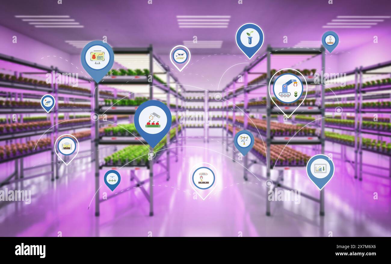 Landwirtschaftstechnologie mit 3D Rendering Indoor Farm System erhöhte Pflanzen in den Regalen Wachstum mit LED-Licht Stockfoto