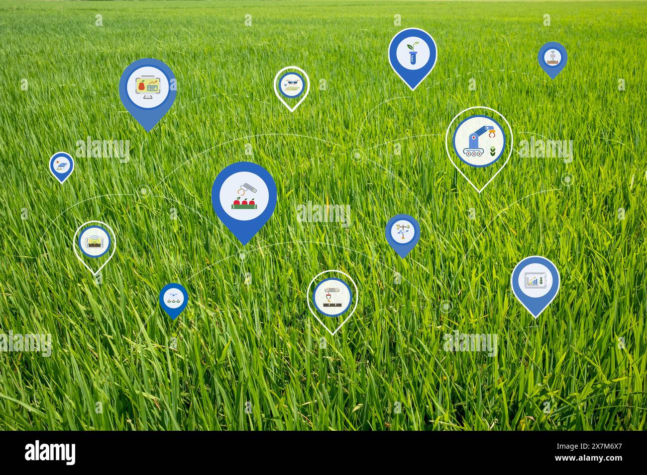 Automatisierungsfarm für Präzisionslandwirtschaftstechnologie mit digitaler Schnittstelle auf grünem Feld Hintergrund Stockfoto