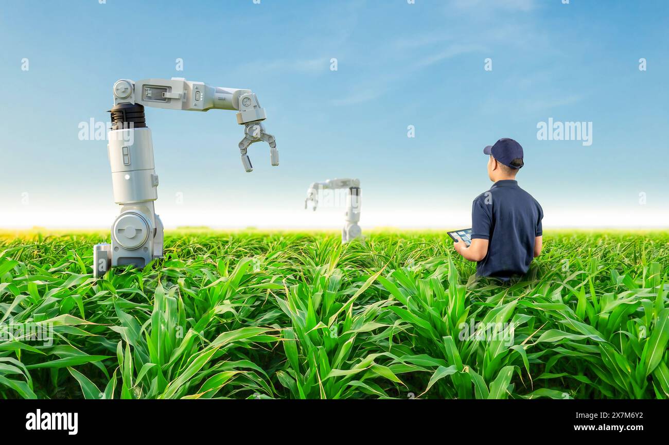 Landwirtschaftstechnologisches Konzept mit landwirtschaftlicher Ingenieurarbeit mit Roboterarmen im Betrieb Stockfoto
