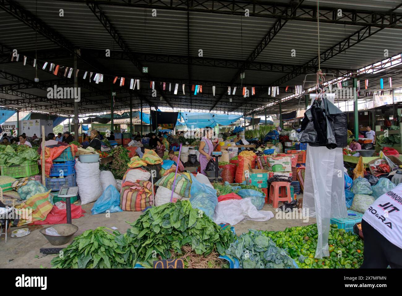 Chimbote, Peru - 18. April 2024: Verschiedene Gemüsesorten zum Verkauf auf dem öffentlichen Markt Mercado dos de Mayo (2. Mai Markt) mit zahlreichen Personen sichtbar Stockfoto