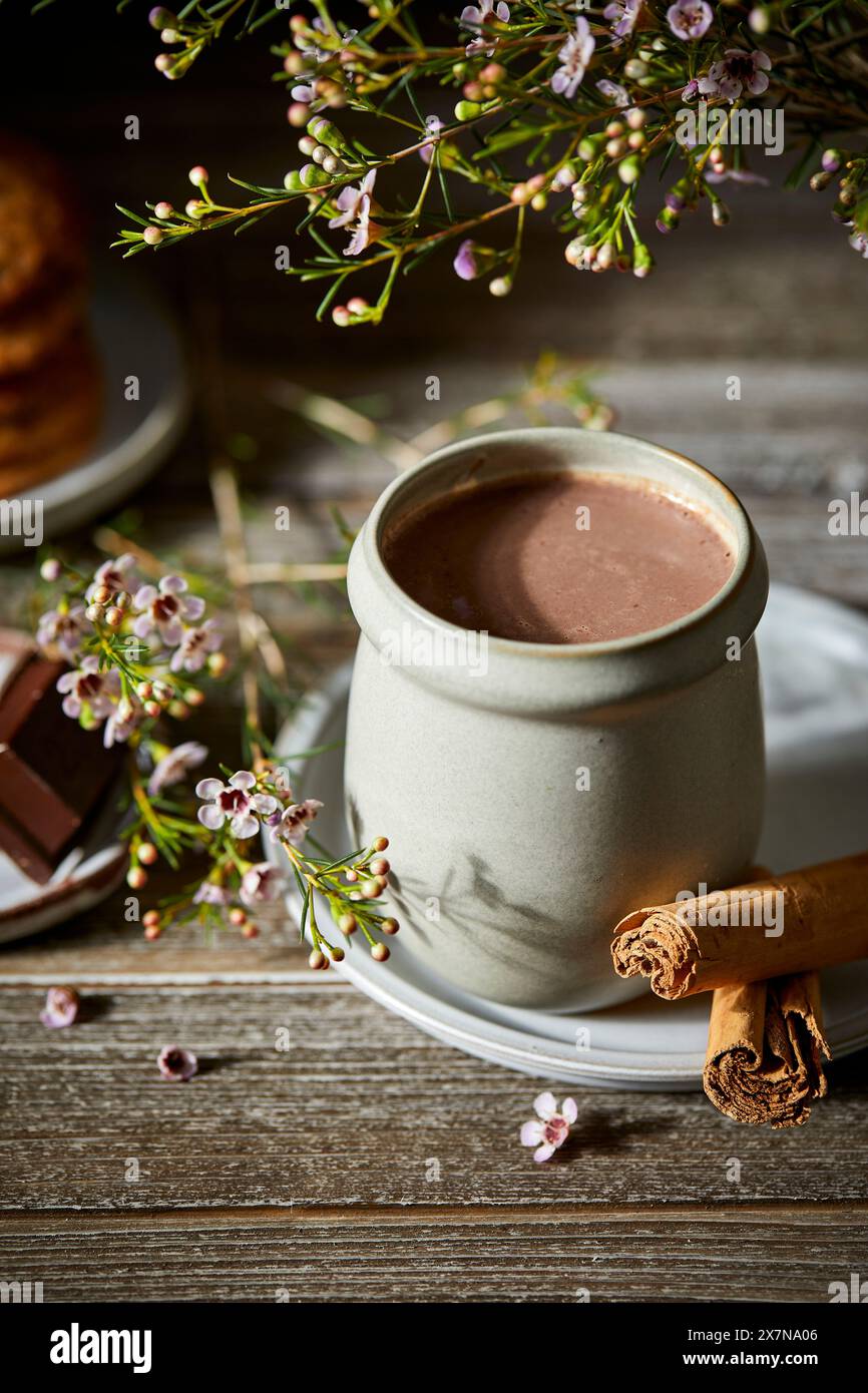Mexikanische heiße Schokolade auf dunklem Holzhintergrund mit Blumen, Keksen und Zimtstangen. Stockfoto