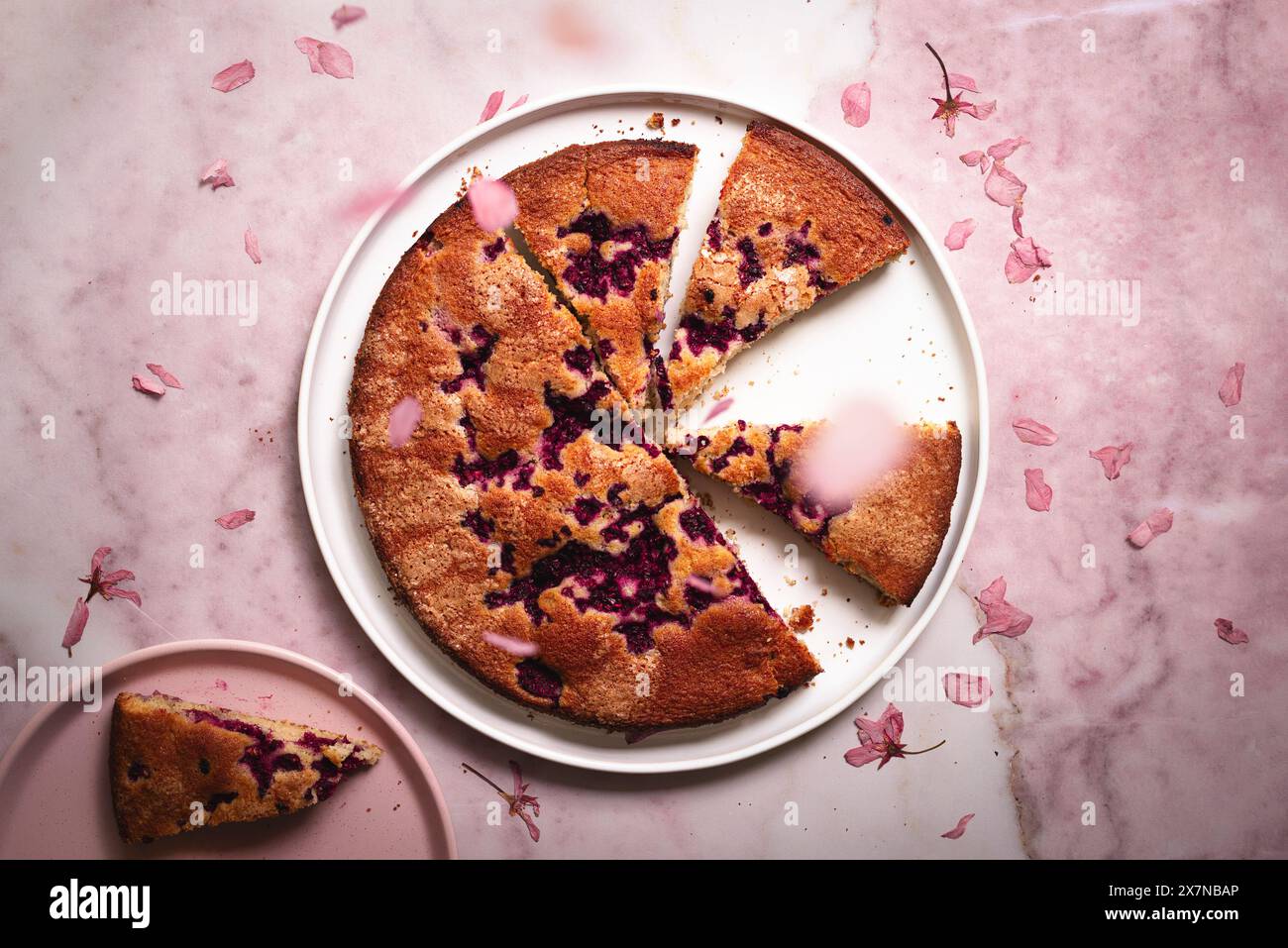 rasperry-Kuchen mit fallenden Blütenblättern Stockfoto