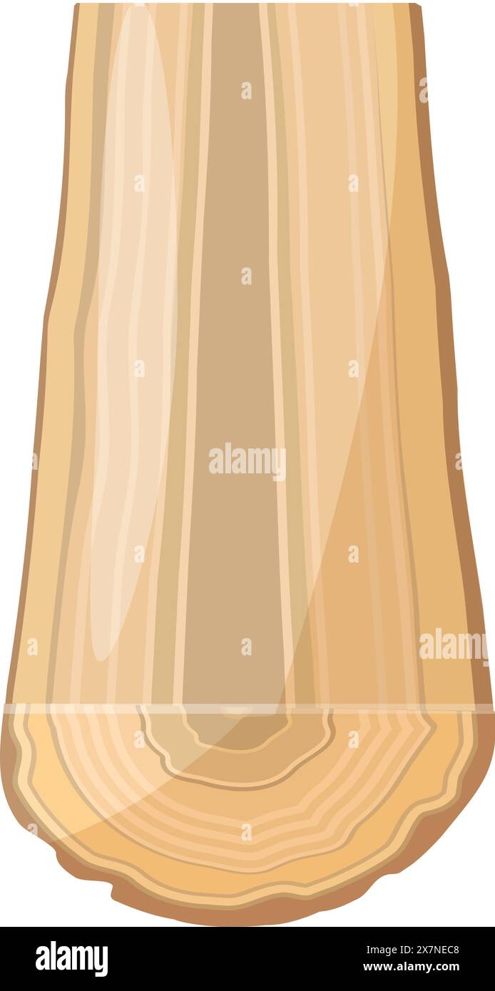 Abbildung eines Holzstämmquerschnitts Stock Vektor