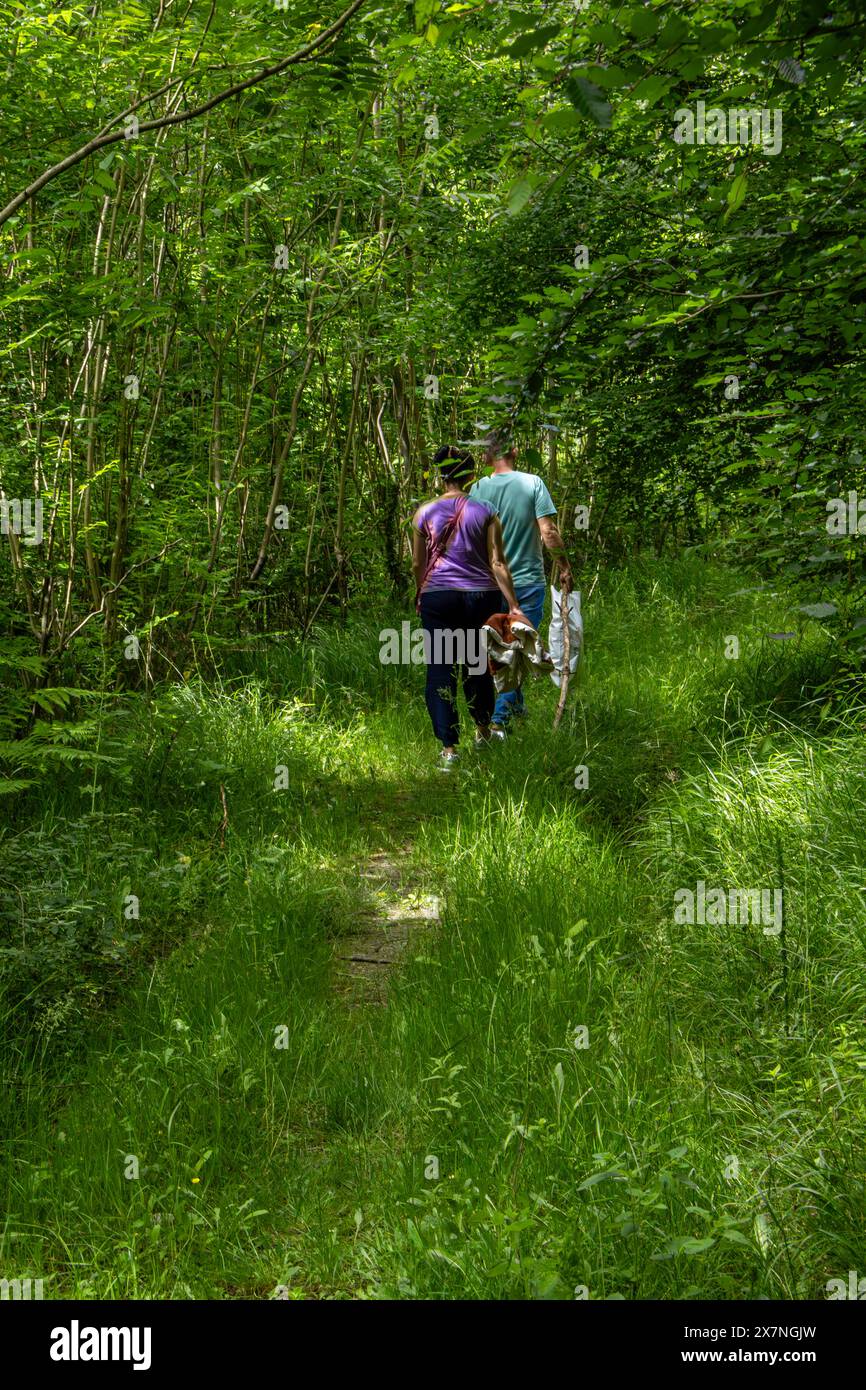 „Der Wald ist ein Ort der Transformation, wo der Zyklus des Lebens in einem unendlichen Tanz von Geburt und Tod, Wachstum und Verfall spielt Stockfoto