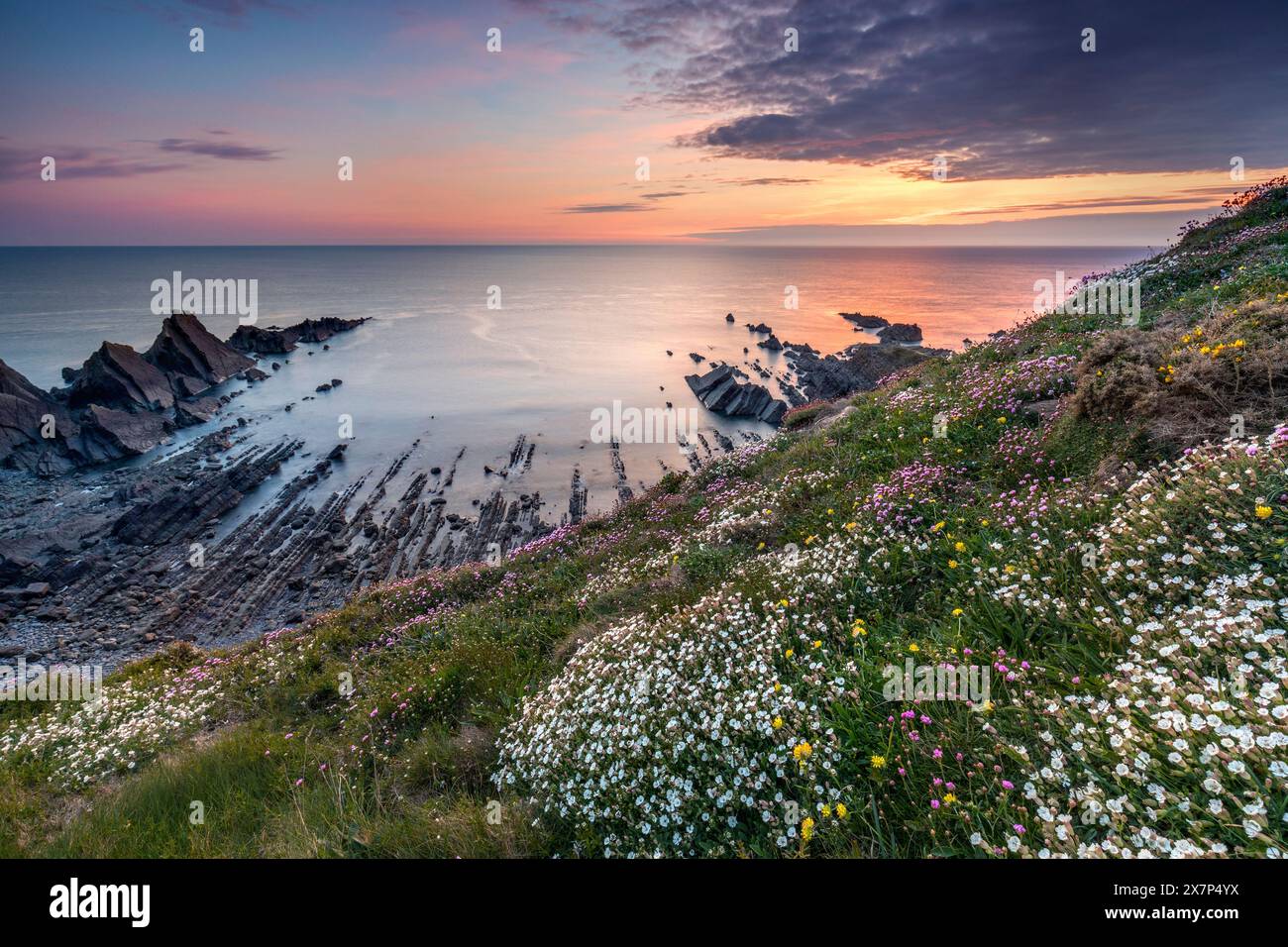 Hartland Quay; Frühling; Sonnenuntergang; Devon; Großbritannien Stockfoto