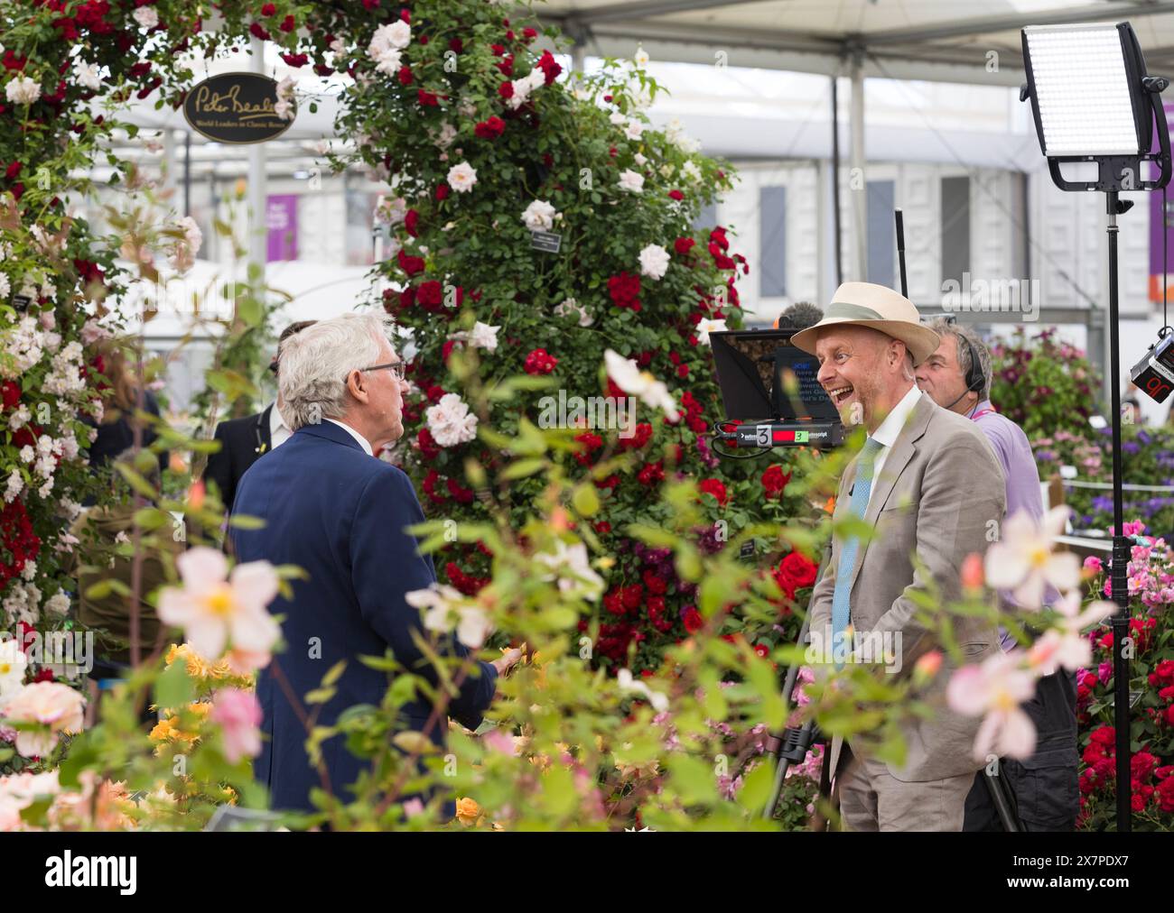 Designer und Gärtner World Moderator Joe Swift interviewt Ian Limmer, Kindergarten Manager am Peter Beales Roses Stand auf der RHS Chelsea Flower Show. Stockfoto