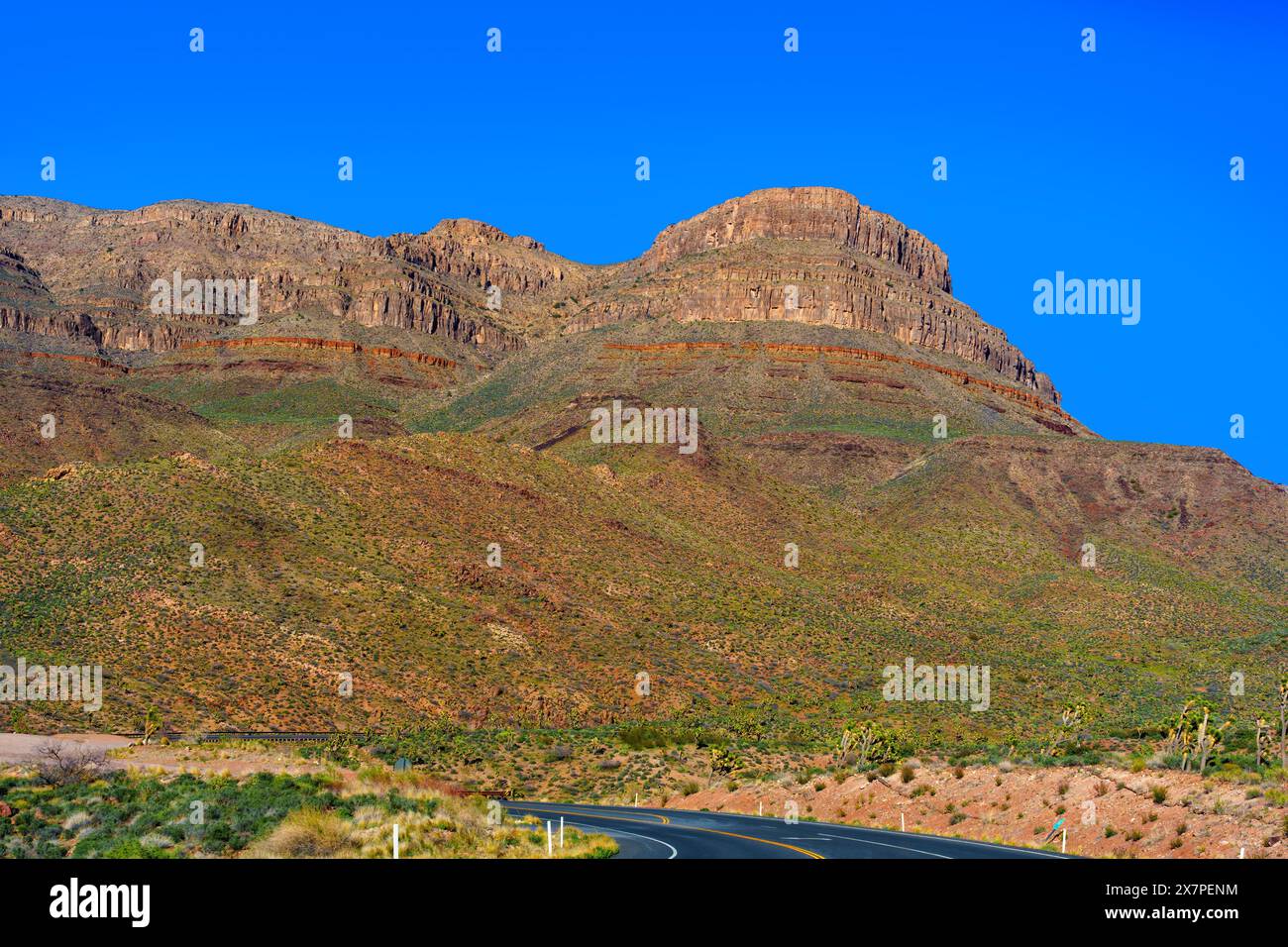 Wüstenstraße schlängelt sich durch Arizonas legendäre Landschaft. Stockfoto