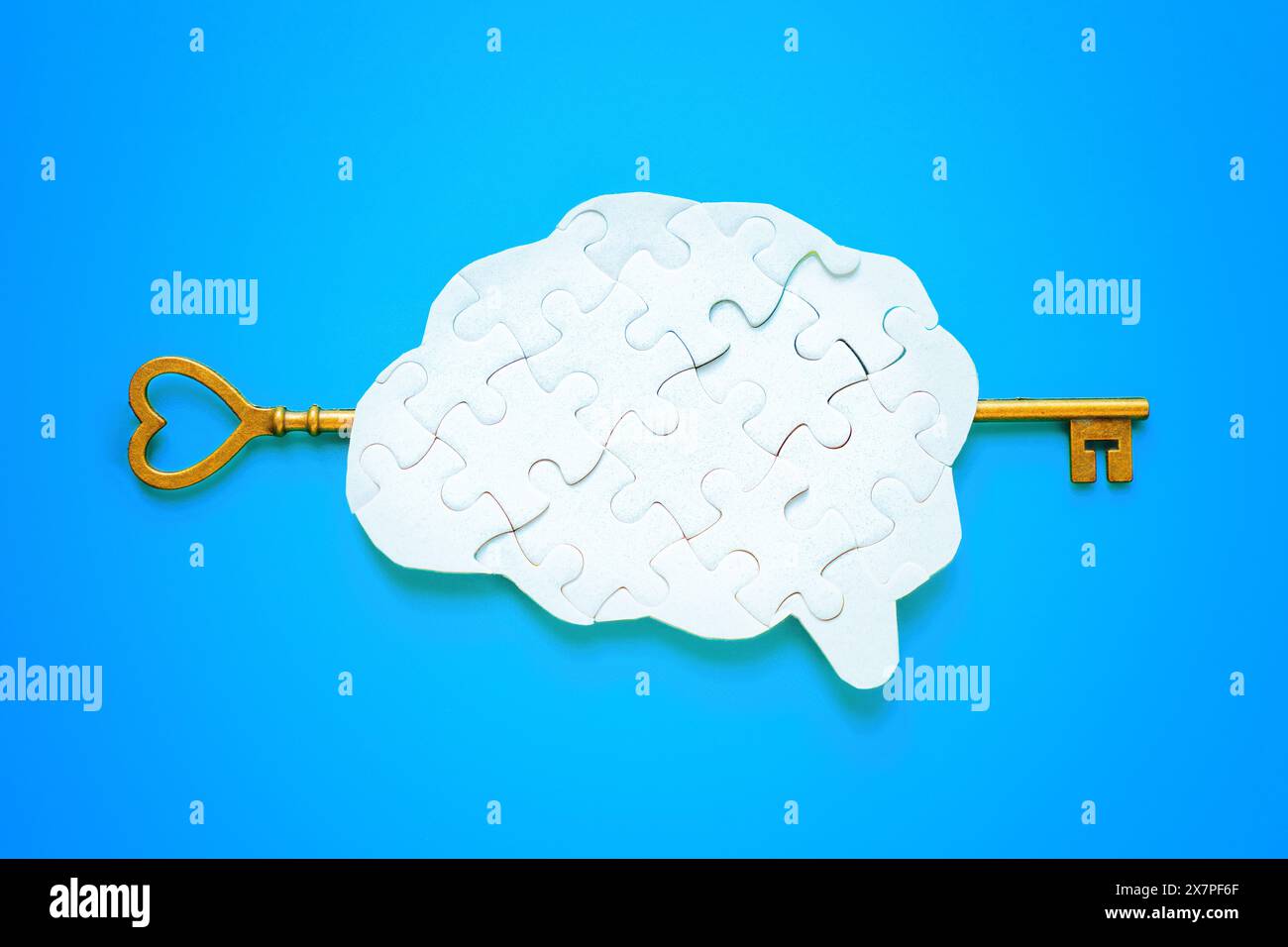Der Schlüssel wurde in ein menschliches Gehirnpuzzle gesteckt, vor einem ruhigen blauen Hintergrund. Erschließung intellektueller Potenziale. Stockfoto