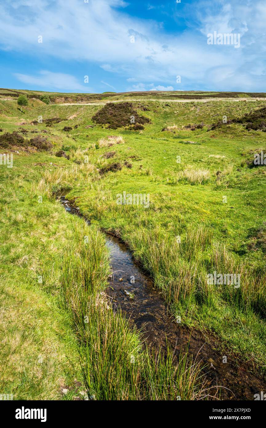 Landschaft in den Lowther Hills bei Leadhills in South Lanarkshire, Schottland Stockfoto