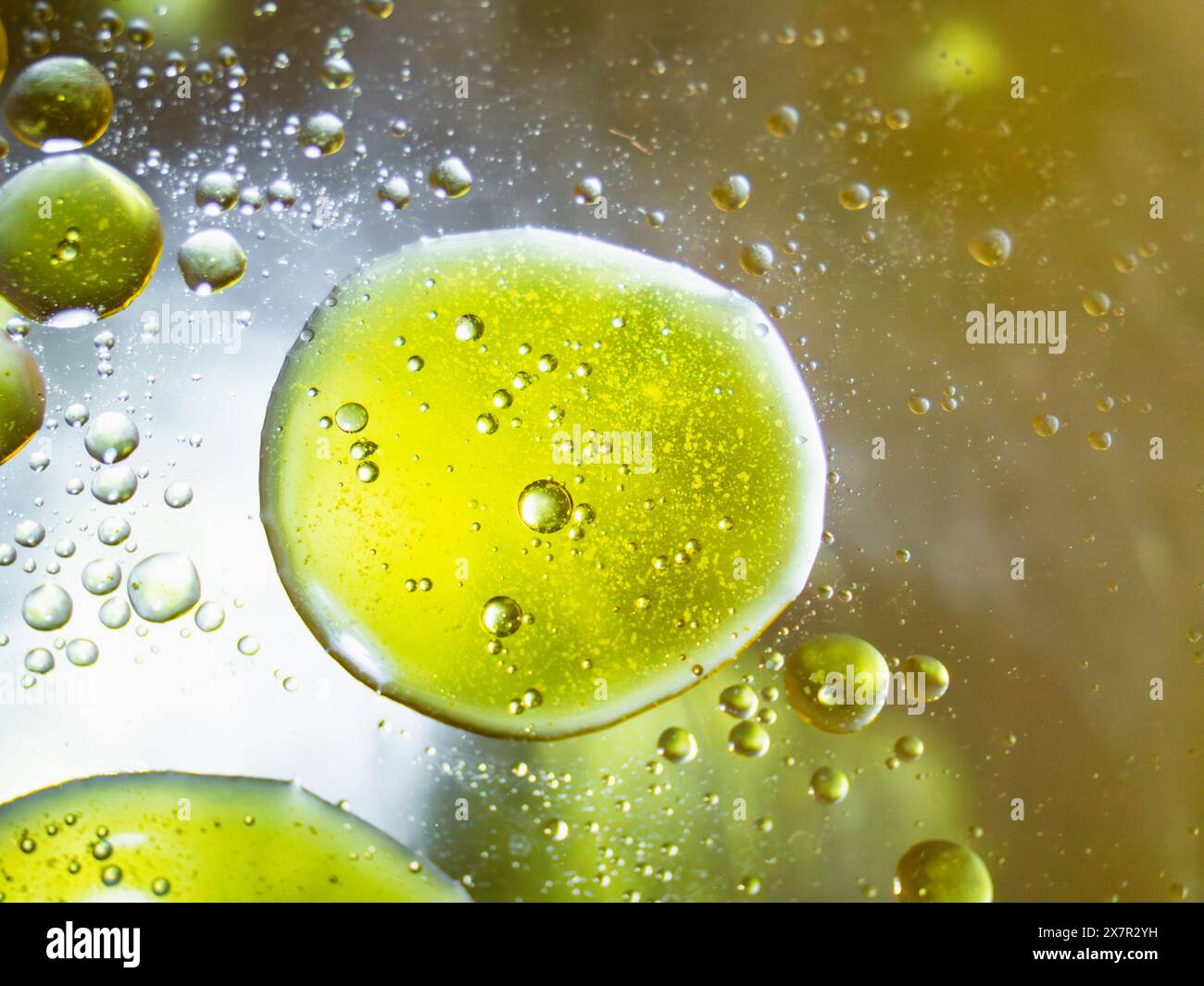 Aus nächster Nähe sehen Sie grün-gelbliche Öltröpfchen, die im Wasser schweben und einen ruhigen, aber dynamischen, abstrakten Hintergrund schaffen, der von natürlichen Elementen inspiriert ist. Stockfoto