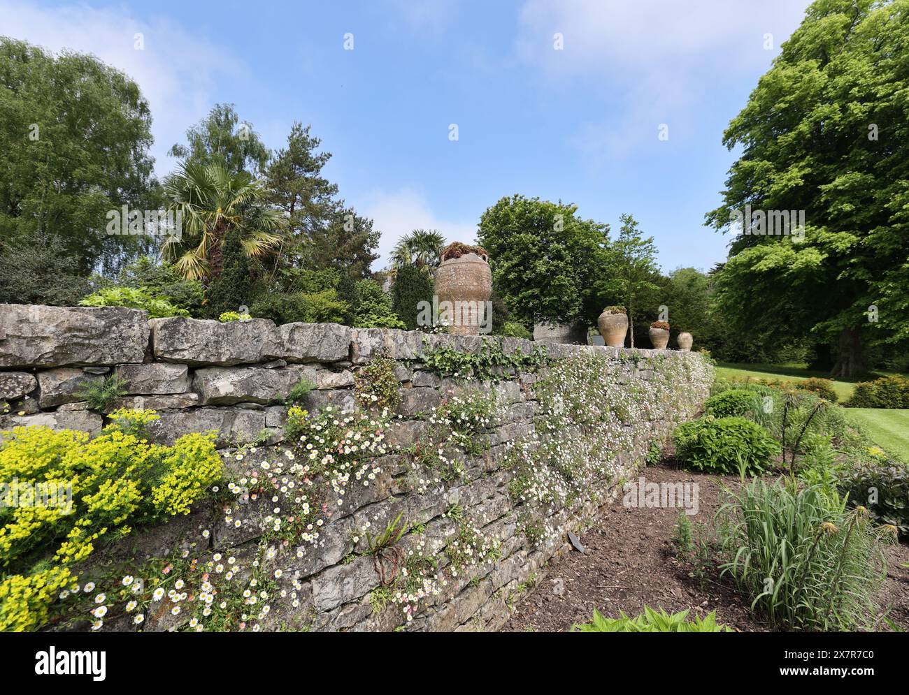 Gardens at Plas Newydd, Anglesey, Wales, Vereinigtes Königreich Stockfoto