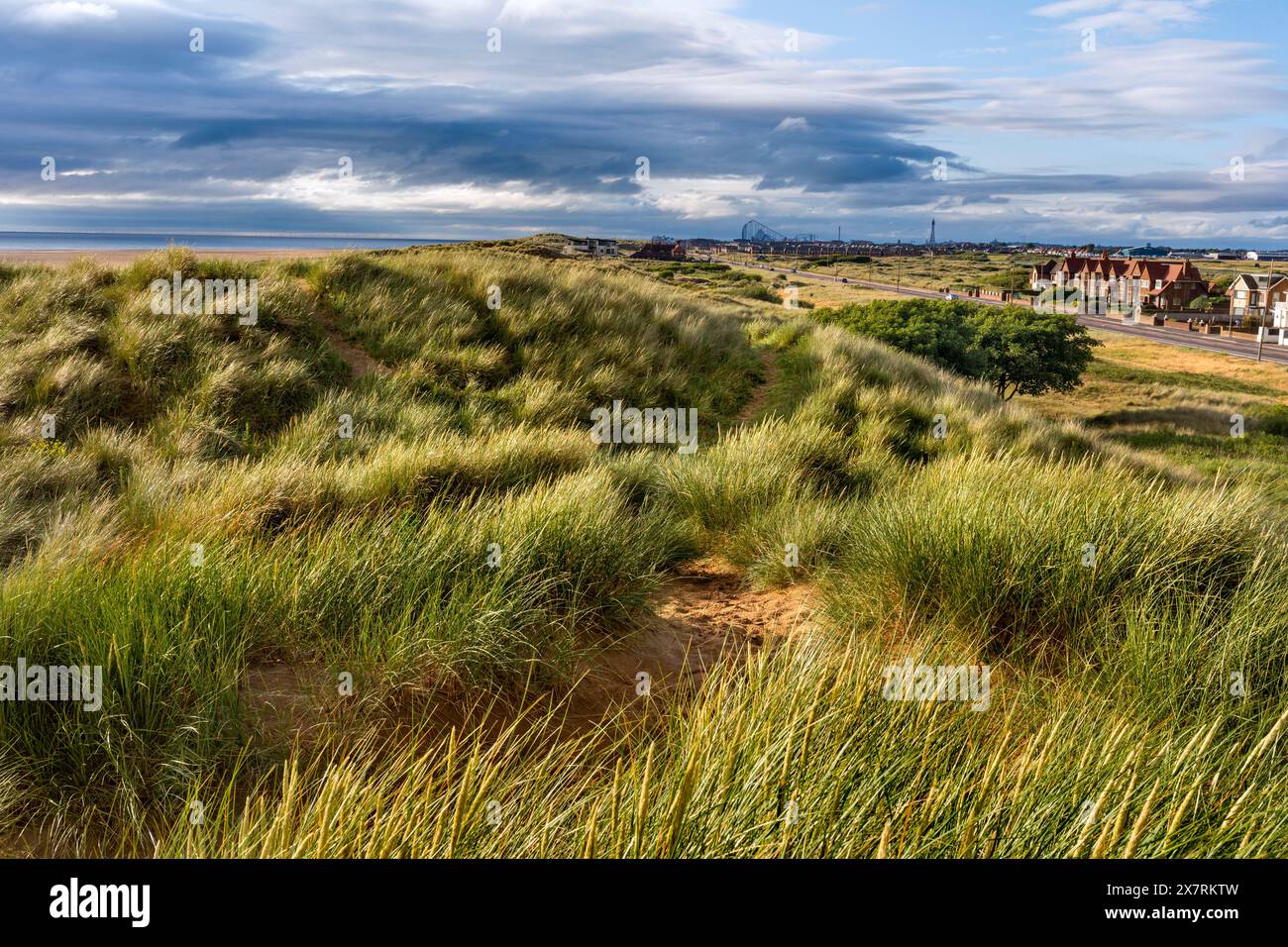 Sanddünen; St Annes; Blick auf Blackpool; Lancashire; Großbritannien Stockfoto