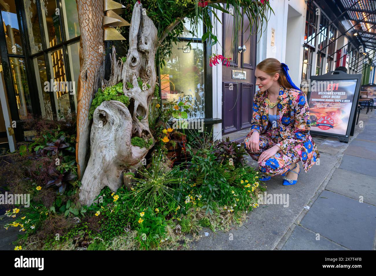 London, Großbritannien, 20. Mai 2024, Chelsea in Bloom begann am 20. Mai und endete am 26. Mai; dieses Jahr ist das Thema Blumenfeste. Die Unternehmen in der Gegend dekorieren ihre Ladenfronten mit wunderschönen Blumenmustern. Es fällt mit der Chelsea Flower Show zusammen. Saskia Jiggens besuchte die Blooms am Eröffnungstag. Andrew Lalchan Photography/Alamy Live News Stockfoto