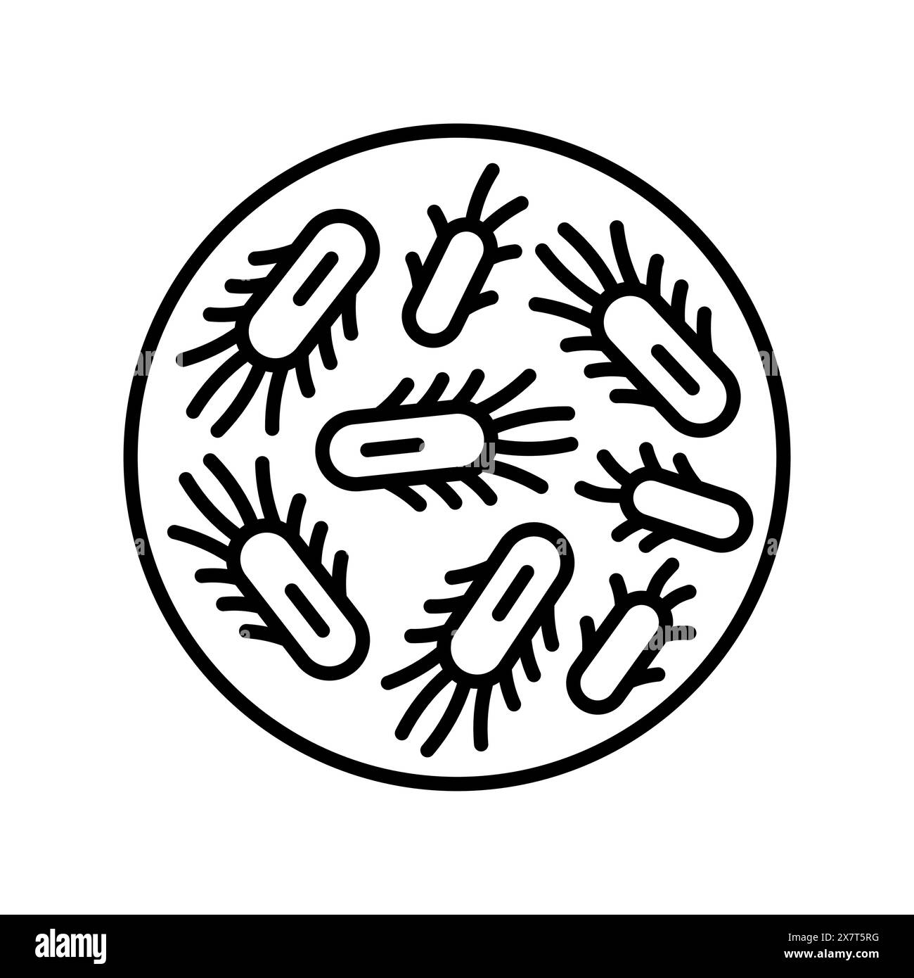 Schwarzes Symbol für Escherichia coli-Linie. Darmmikrobiota. Signieren Sie für Webseite, mobile App, Schaltfläche, Logo. Schaltfläche Vektorisoliert. Bearbeitbare Kontur. Stock Vektor