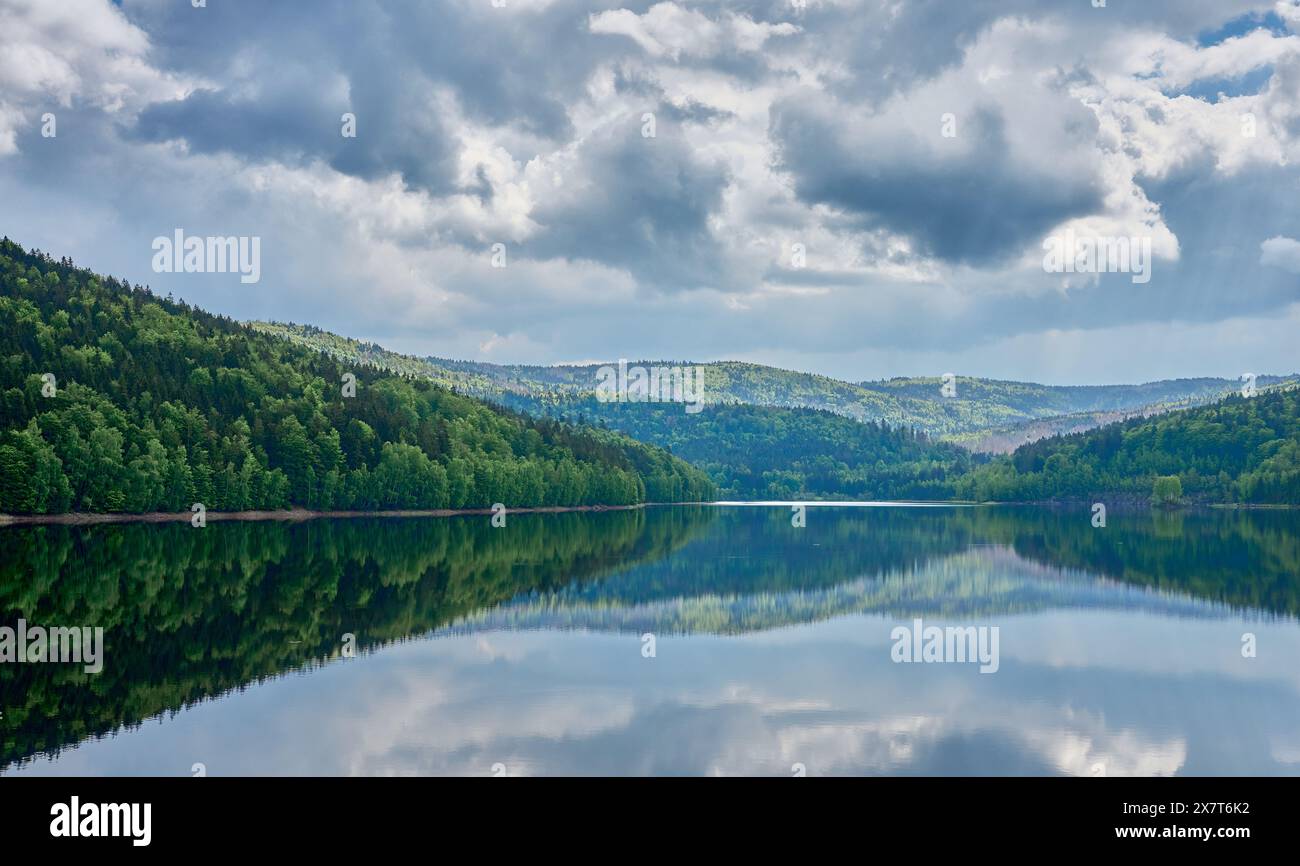 Landschaft am Trinkwasserdamm Frauenau im Nationalpark Bayerischer Wald bei Frauenau, Bayerischer Wald, Stockfoto