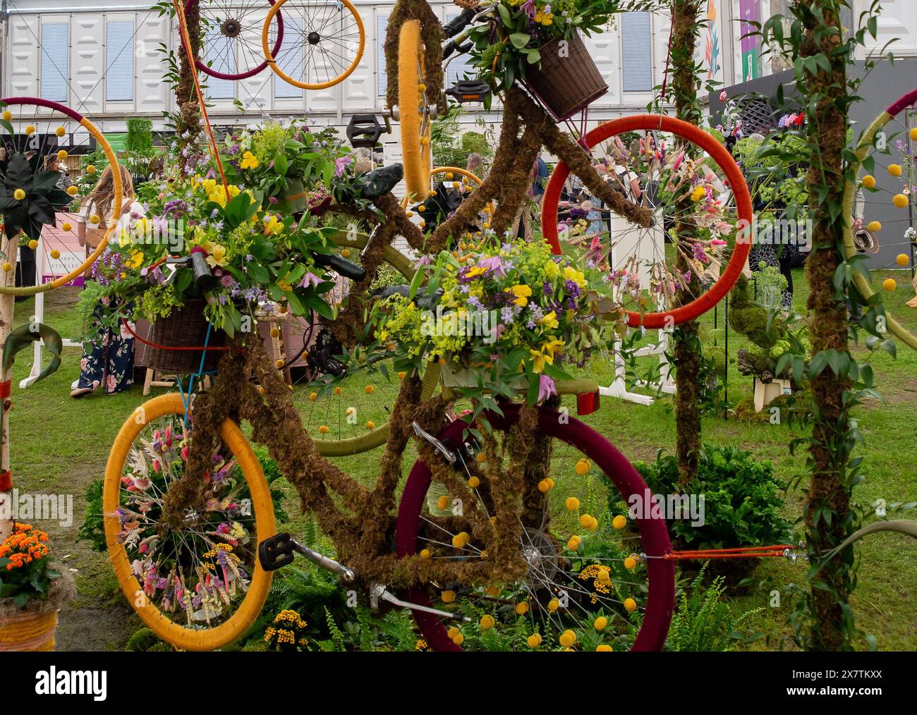 London, Großbritannien. Mai 2024. Recycelte Fahrräder mit Blumenauflagen im Belgravia in Bloom von Judith Blacklock auf der RHS Chelsea Flower Show in London. Quelle: Maureen McLean/Alamy Live News Stockfoto