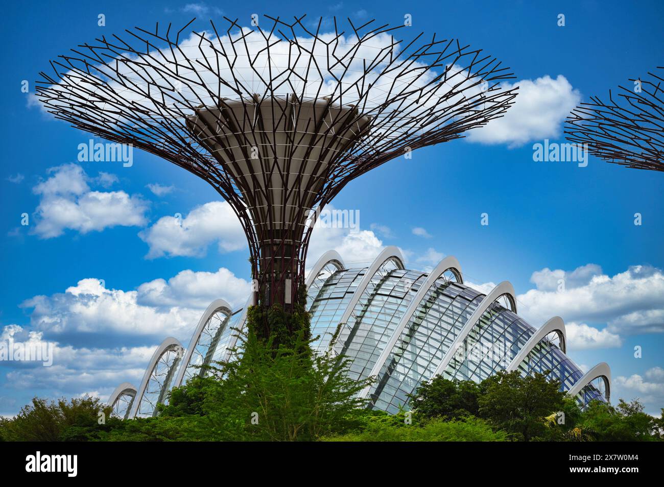 SuperTree Grove Gardens by the Bay, Singapur Stockfoto