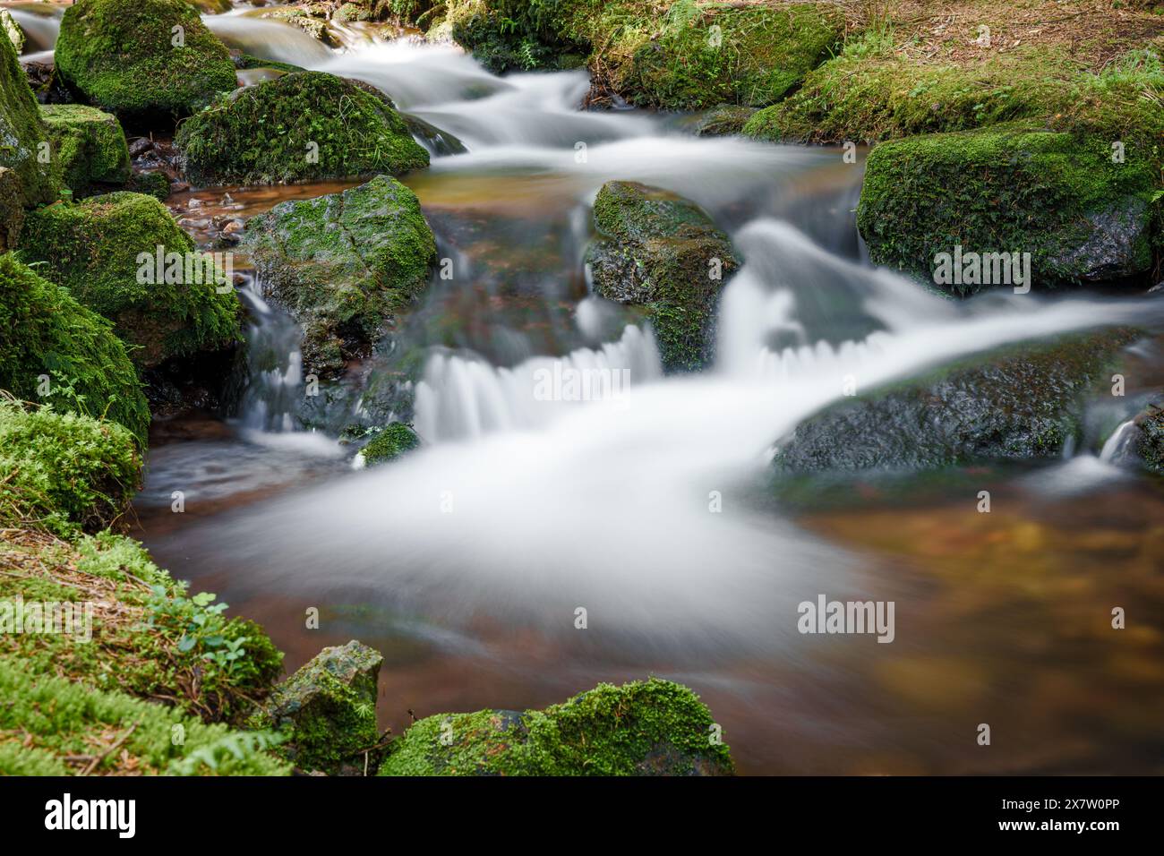 Ein ruhiger kleiner Wasserfall im Herzen eines üppigen Waldes Stockfoto