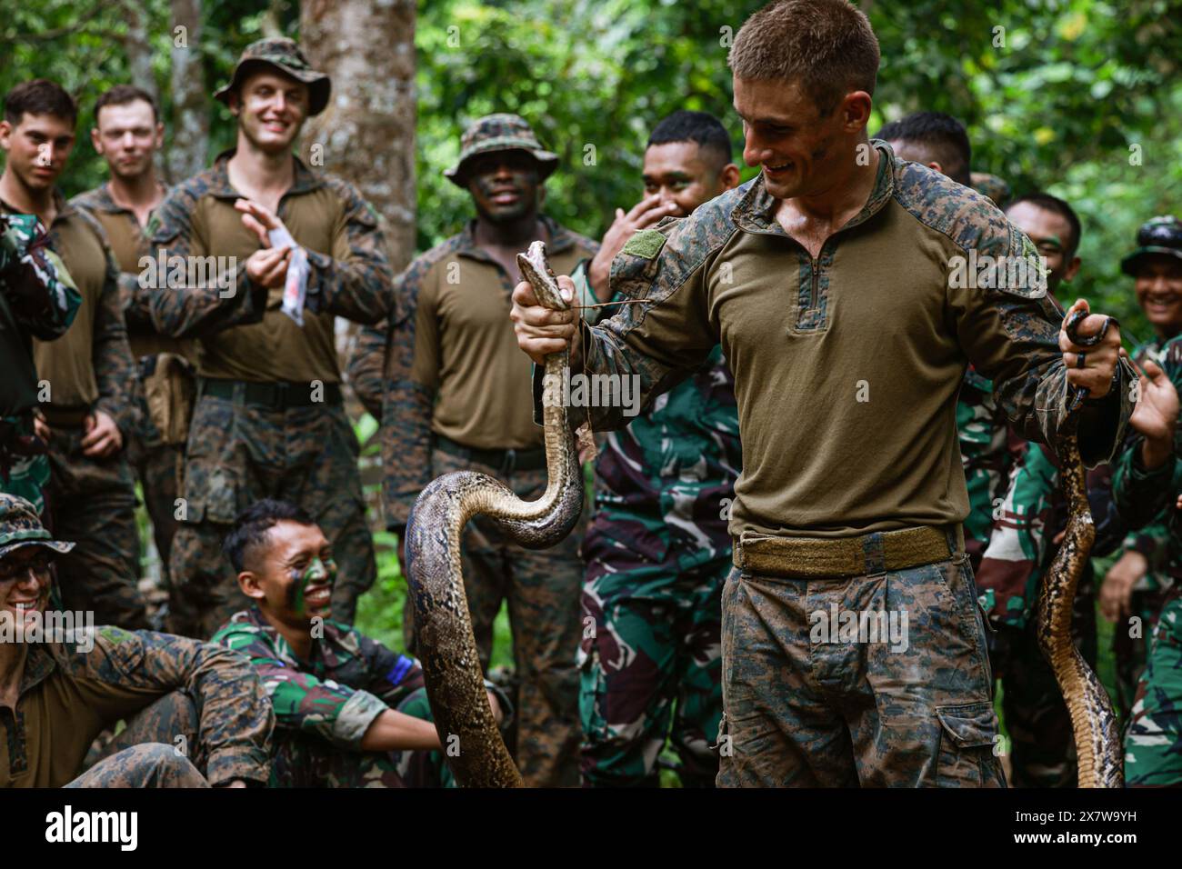 Bandar Lampung, Indonesien. Mai 2024. Zackary Wyant, ein Teamleiter der Charlie Company, Battalion Landing Team 1/5, 15. Marine Expeditionary Unit, hält während des Überlebenstrainings im Dschungel einen Boa Constrictor mit indonesischen Marines, die dem 9. Infanterie-Bataillon, 4. Marine Brigade, zugeteilt sind. während der Übung Cooperation afloat Readiness and Training (CARAT) Indonesia 24 in Bandar Lampung, Indonesien, 16. Mai 2024. Dieses Jahr ist die 30. Wiederholung von CARAT, einer multinationalen Übungsserie, die die Fähigkeit der US-Marine und der Partnerflotte verbessern soll, in der sie zusammenarbeiten kann Stockfoto