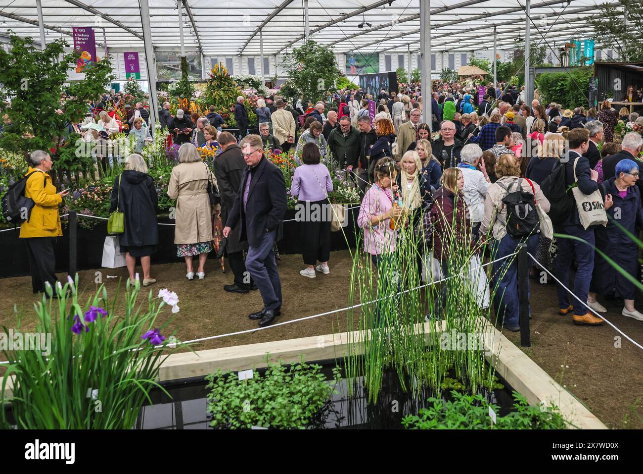 London, Großbritannien. Mai 2024. Der große Pavillon ist mit vielen beschäftigt, die Zuflucht vor dem Regen suchen. Nach dem gestrigen Pressetag mit herrlicher, warmer Sonne hat heute in der Chelsea Flower Show am Nachmittag viel Regen erlebt, aber die Besucher scheinen sowieso das Beste daraus gemacht zu haben. Quelle: Imageplotter/Alamy Live News Stockfoto