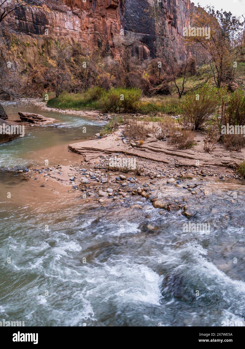 Virgin River Narrows, Riverside Walk, Zion National Park, Springdale, Utah. Stockfoto