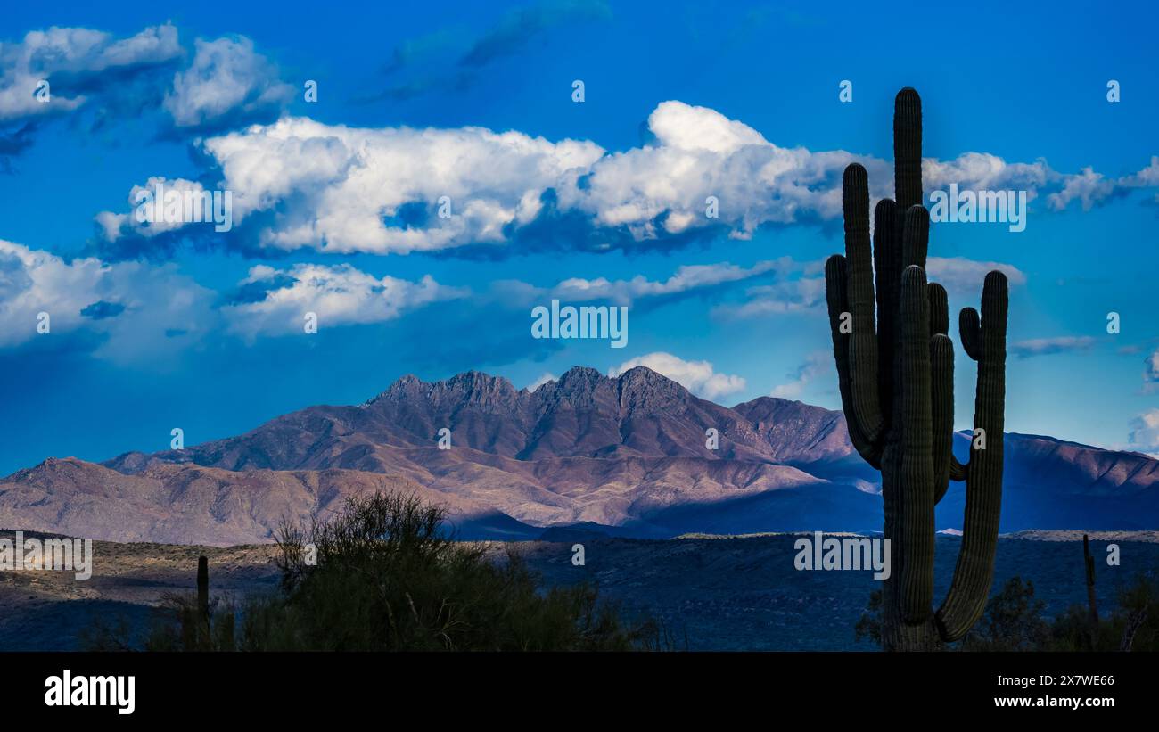 Four Peaks from the North Trail, McDowell Mountain Regional Park, Fountain Hills, Arizona. Stockfoto