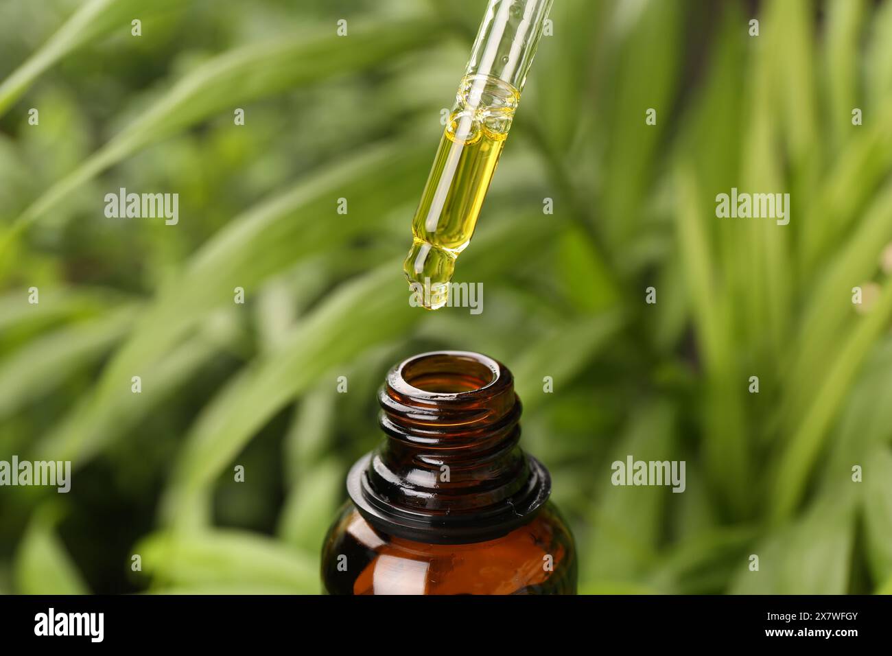 Tropfen von ätherischem Öl aus der Pipette in die Flasche im Freien, Nahaufnahme Stockfoto