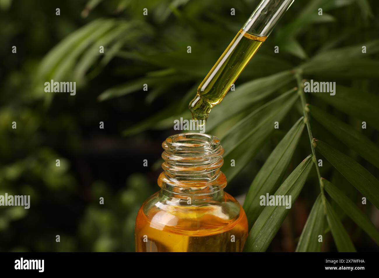 Tropfen von ätherischem Öl aus der Pipette in die Flasche im Freien, Nahaufnahme Stockfoto