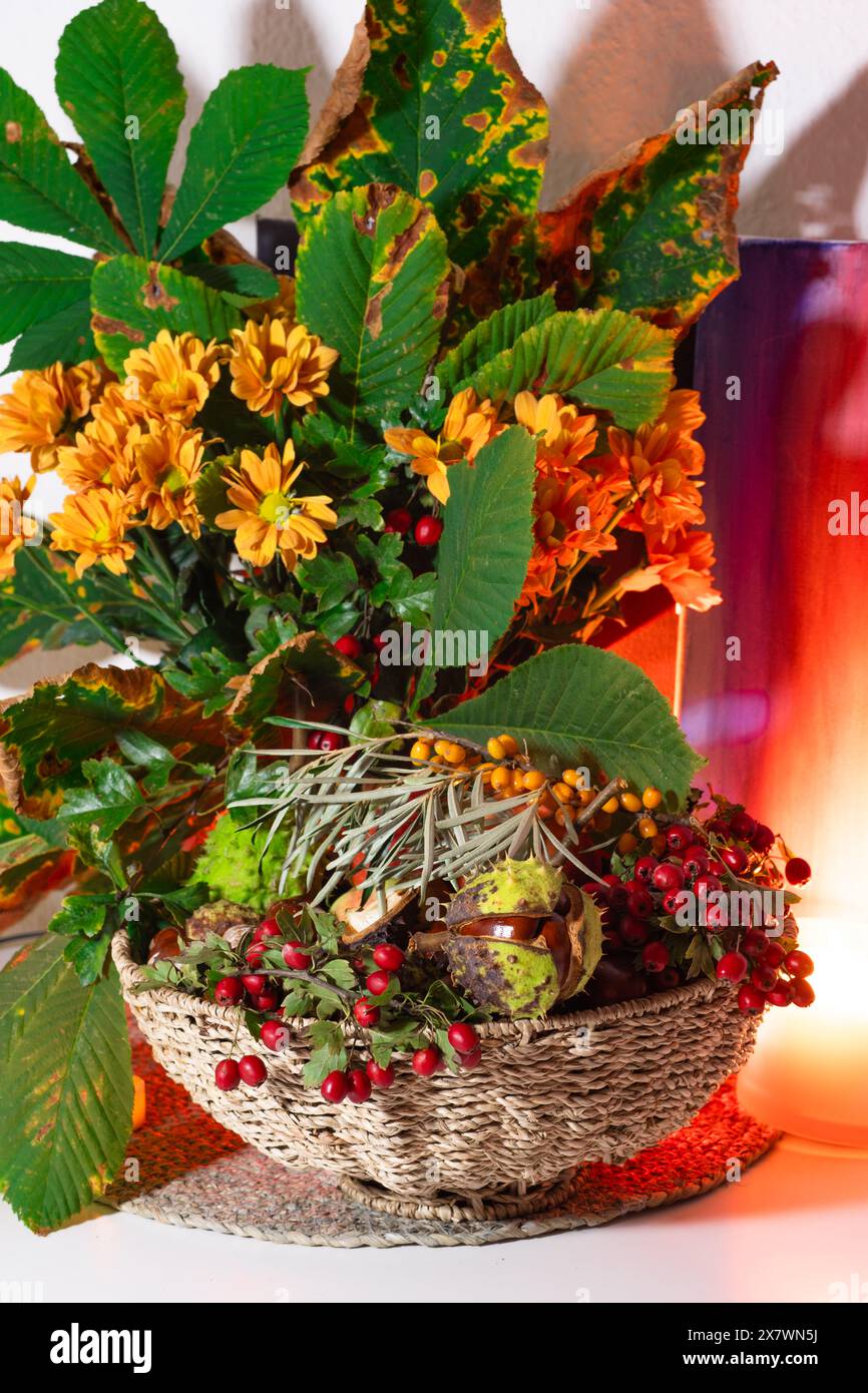 Eine schöne Komposition aus Kastanien, Herbstblumen und Blättern, Sanddorn und Weißdornbeeren. Herbststillleben, Herbststrauß in einem Weidenbock Stockfoto