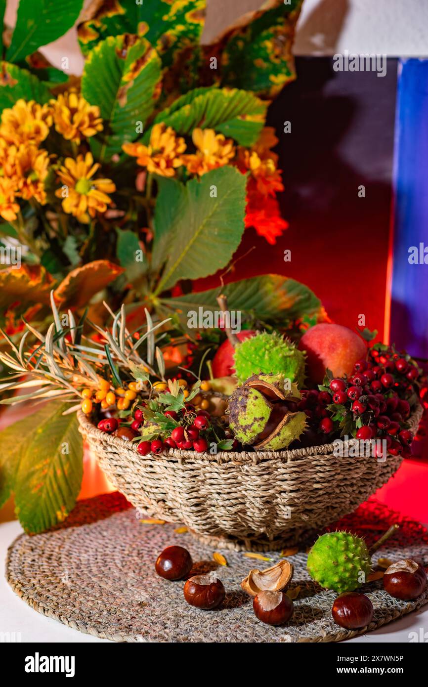 Eine schöne Komposition aus Kastanien, Herbstblumen und Blättern, Sanddorn und Weißdornbeeren. Herbststillleben, Herbststrauß in einem Weidenbock Stockfoto