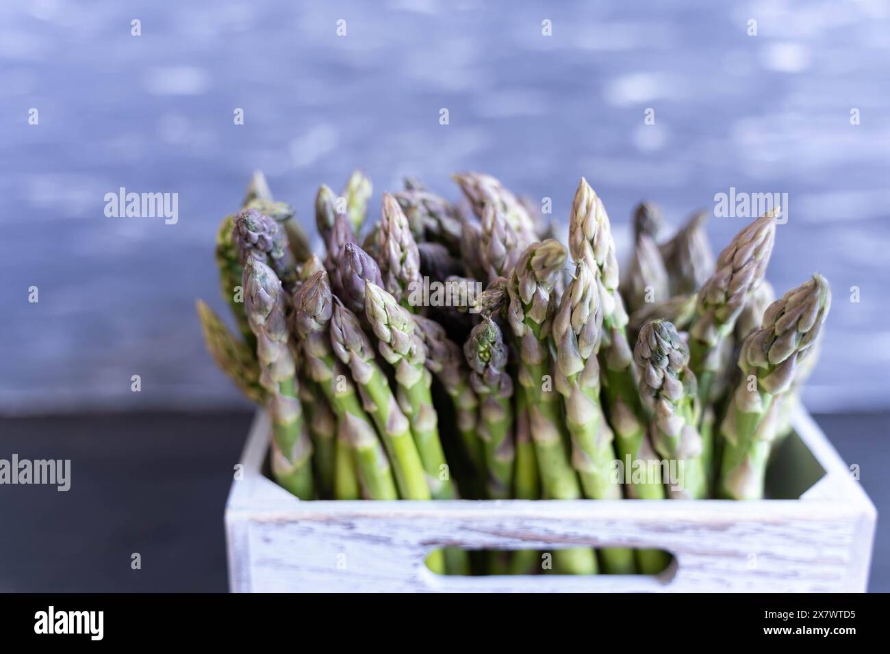 Grüner frischer Spargel in einer grauen Kiste auf lebhaft grauem Hintergrund Stockfoto