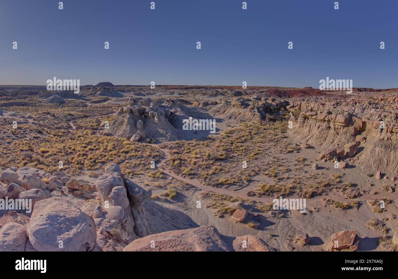 Goblin Garden westlich von Hamilili Point im Petrified Forest National Park Arizona. Stockfoto