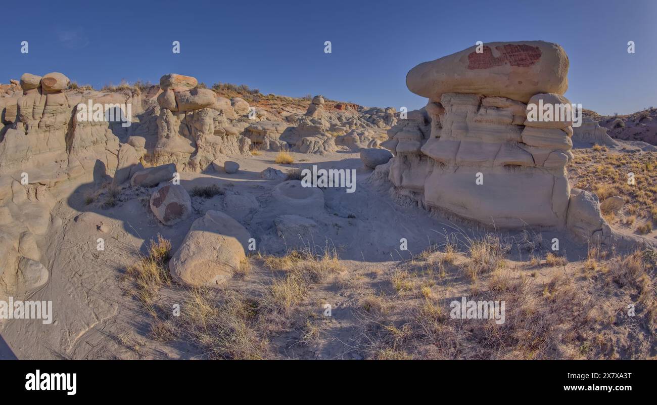 Goblin Garden westlich von Hamilili Point im Petrified Forest National Park Arizona. Stockfoto