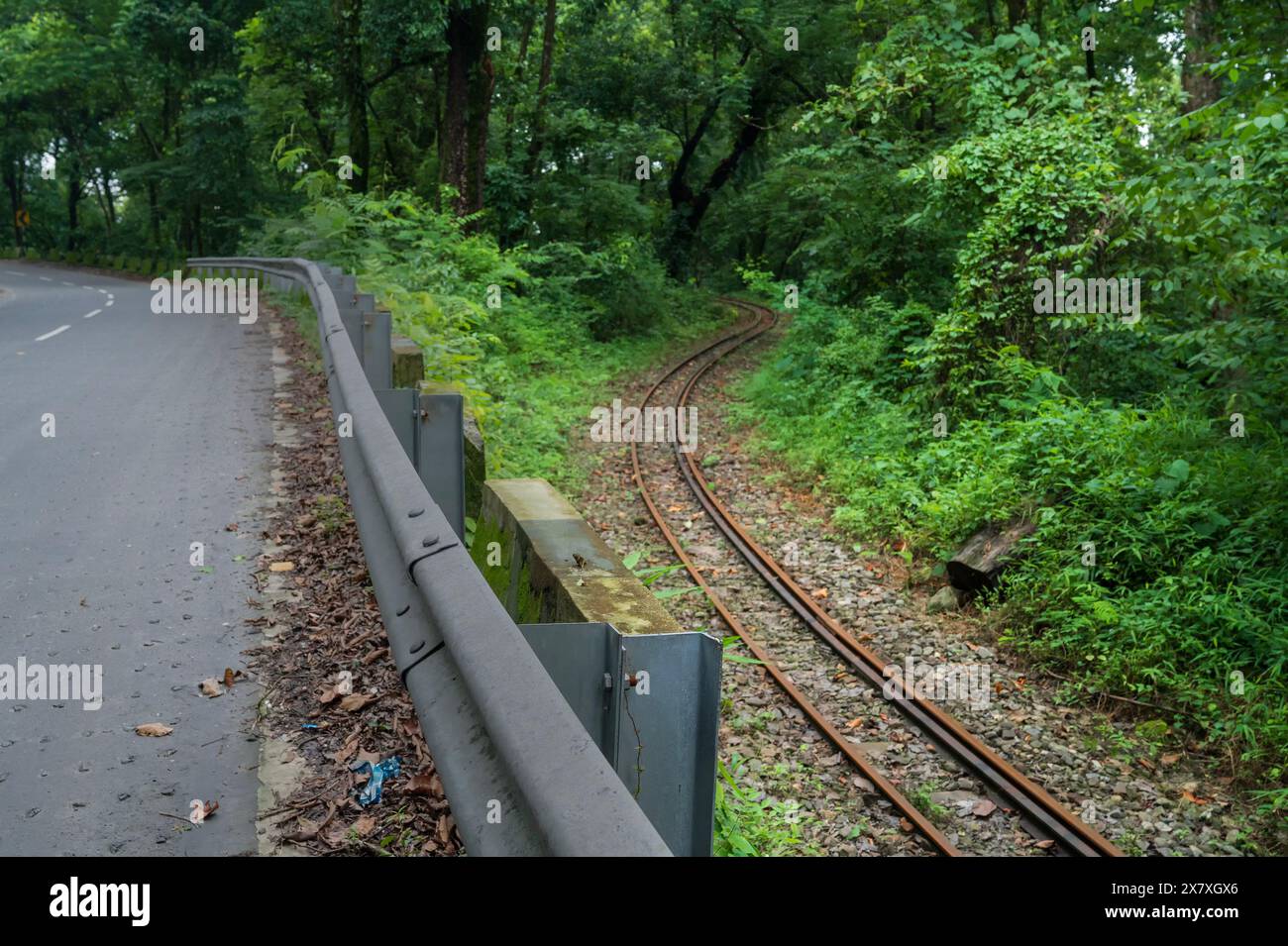 Spielzeugbahn, Schmalspurbahn, die durch den Dschungel des Himalaya führt. Darjeeling Himalayan Railway, Schmalspurbahn zwischen New Jalpaiguri an Stockfoto