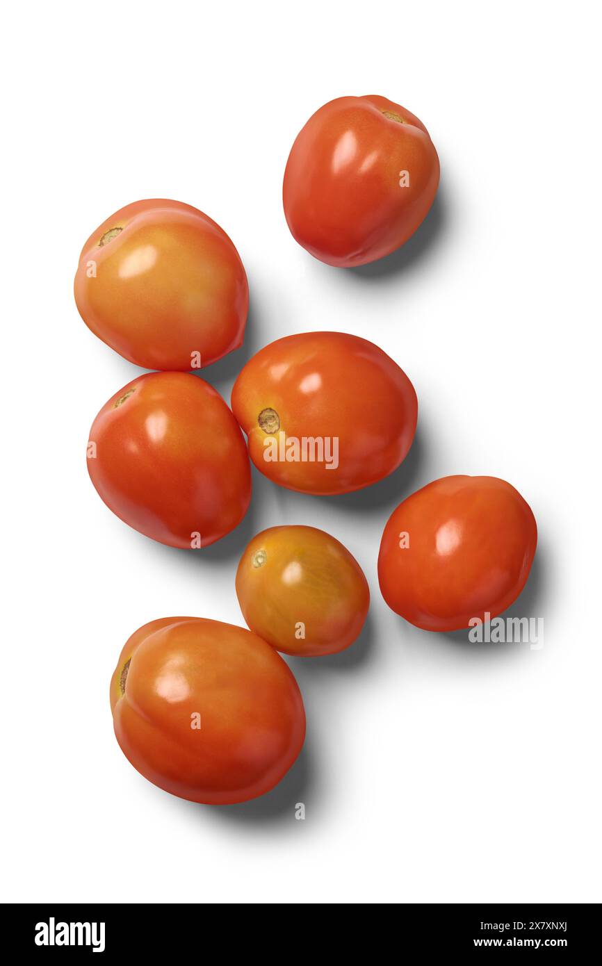 Tomaten/Paradeiser verstreut und isoliert, weißer Hintergrund, rötlich-orange gereifte reife Früchte von oben Stockfoto