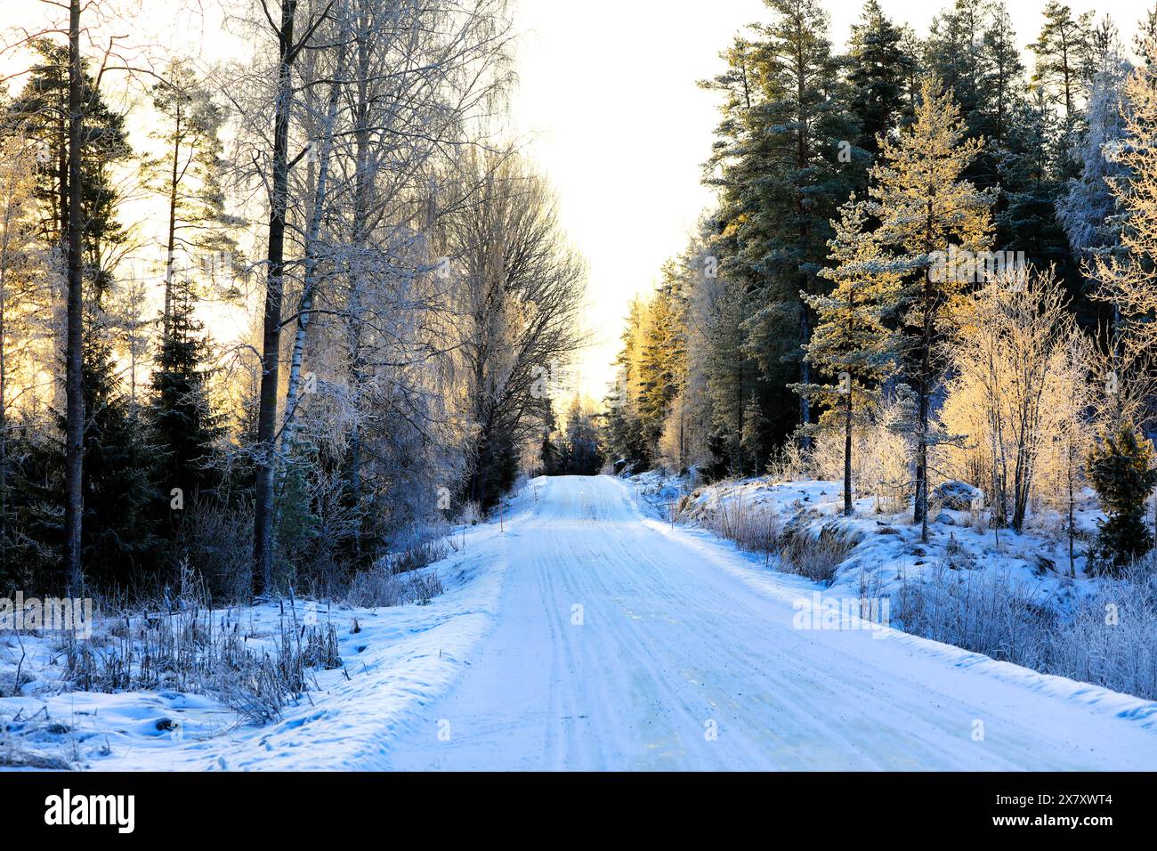 Schneebedeckte und vereiste Landstraße bei Sonnenaufgang an einem kalten Dezembermorgen. Stockfoto