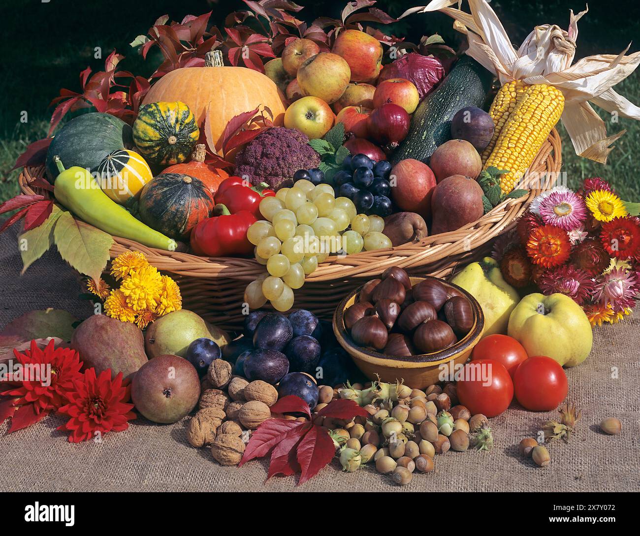 Herbstfrüchte in einem Korb angeordnet. Stockfoto