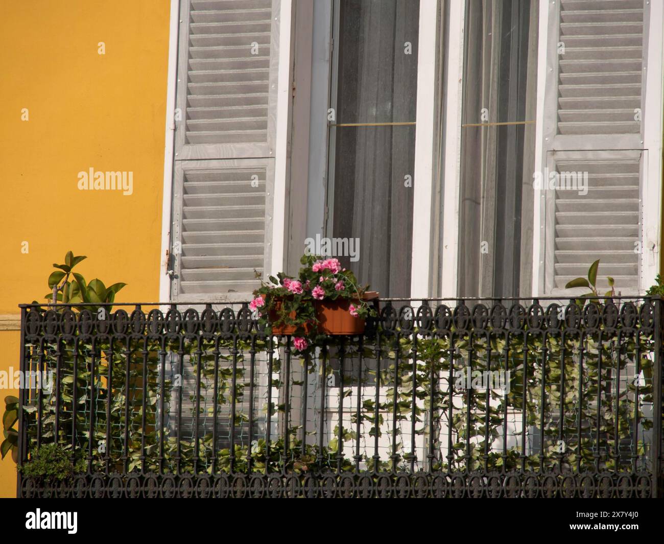 Ein Balkon mit einer Attika mit Blumen und weißen Fensterläden vor einer gelben Wand im Schatten, kleine Balkone mit Blumen auf o Stockfoto